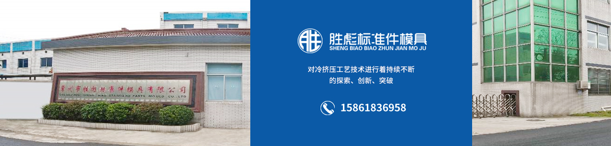 常州市胜彪标准件模具有限公司